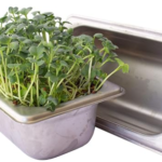 Stainless Steel Hydroponic Microgreens Grower