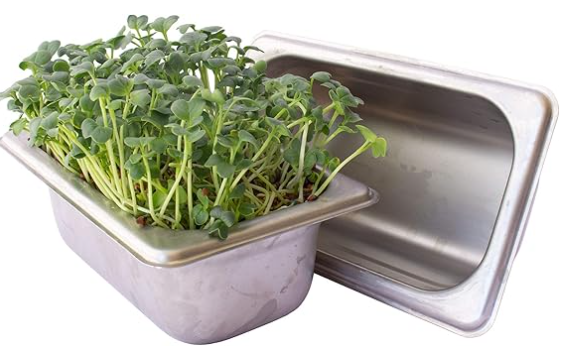 Stainless Steel Hydroponic Microgreens Grower