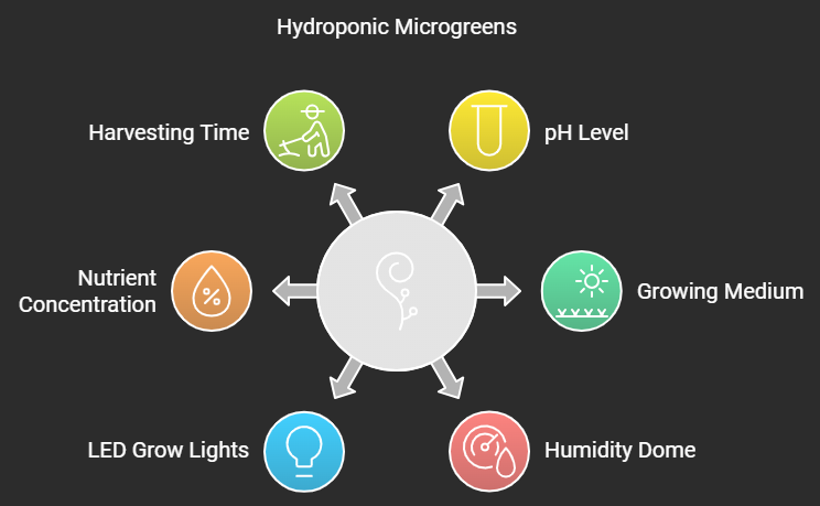  How To Growing Hydroponic Microgreens